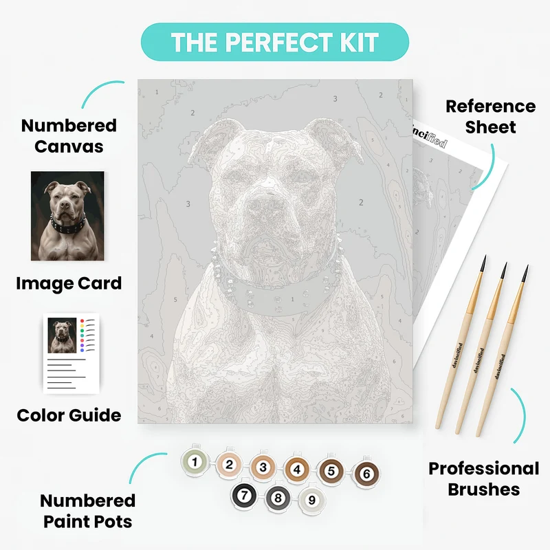 Pitbull with Studded Collar - Paint by Numbers Kit