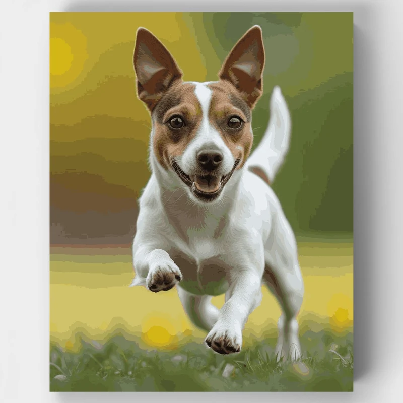 Jack Russell Jumping - Paint by Numbers Kit