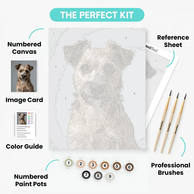 Scruffy Border Terrier Portrait - Paint by Numbers Kit