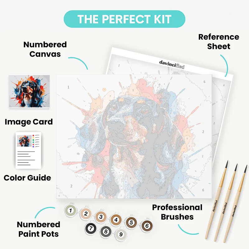 Dachshund Splash - Paint by Numbers Kit