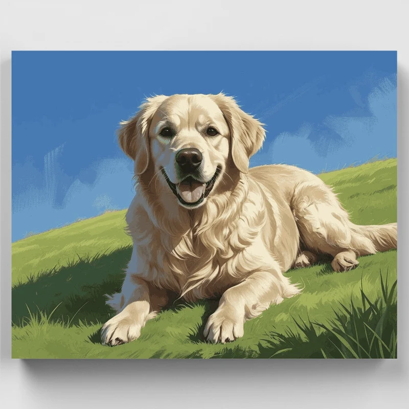 Golden Retriever in Sunshine - Paint by Numbers Kit