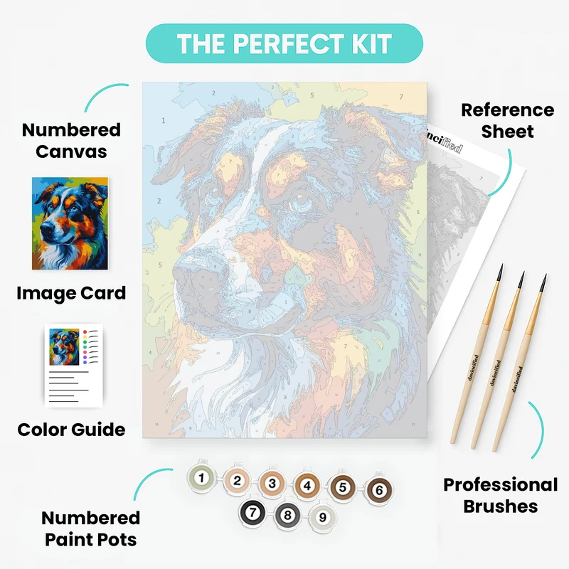 Vibrant Australian Shepherd Portrait - Paint by Numbers Kit
