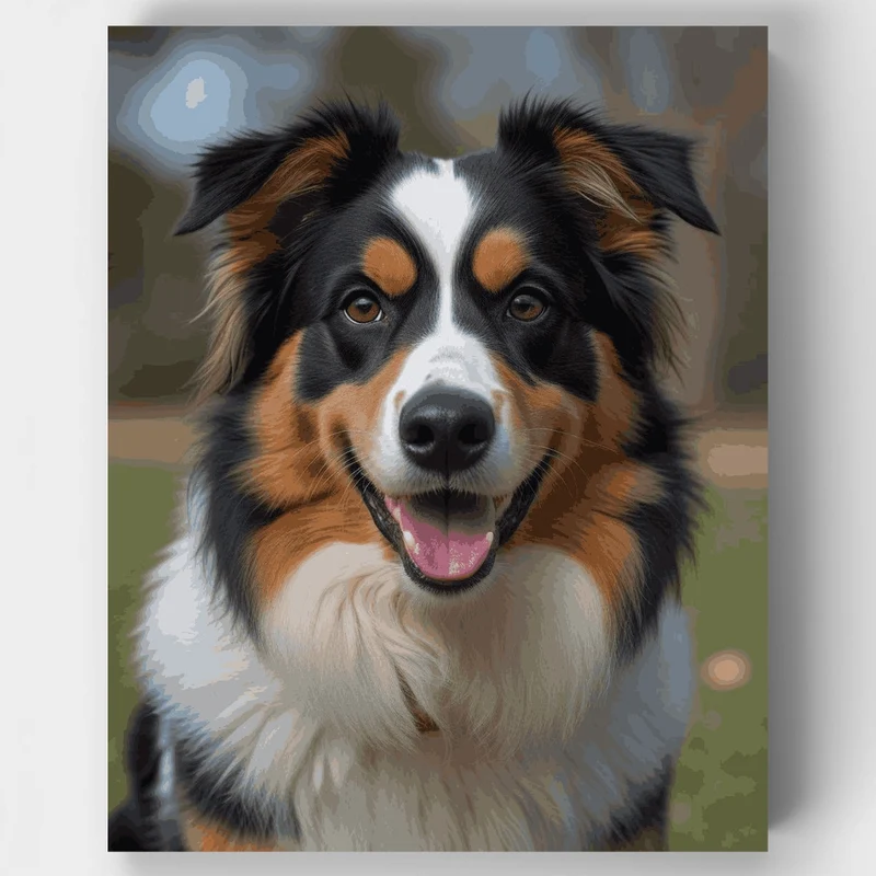 Australian Shepherd - Paint by Numbers Kit