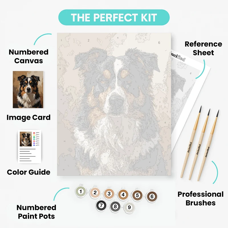 Australian Shepherd Portrait - Paint by Numbers Kit