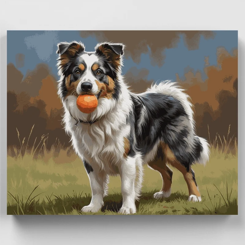 Australian Shepherd with Orange Ball - Paint by Numbers Kit
