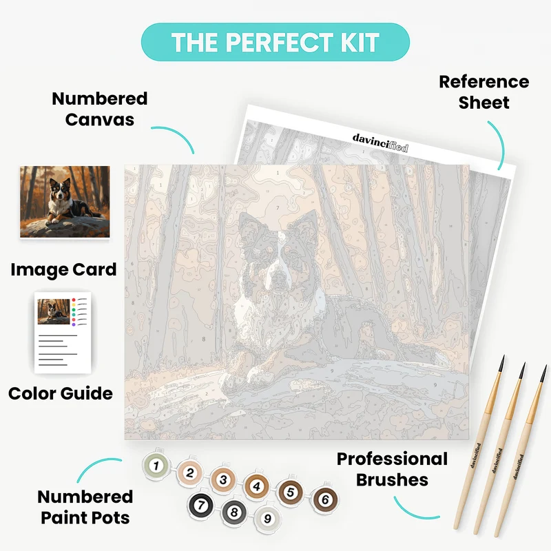 Australian Shepherd in Autumn Forest - Paint by Numbers Kit