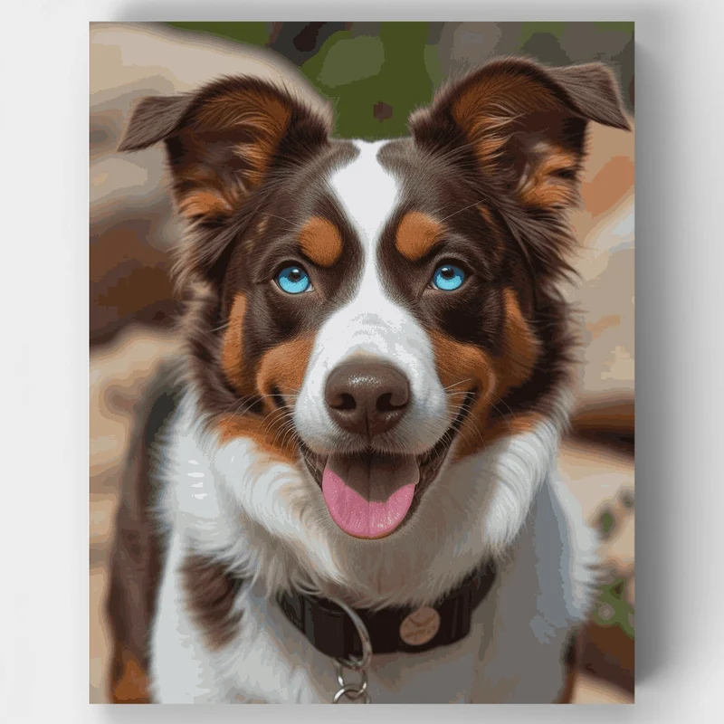 Australian Shepherd with Brilliant Blue Eyes Portrait - Paint by Numbers Kit
