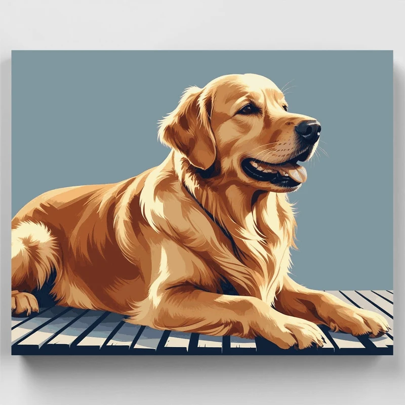 Golden Retriever Relaxing - Paint by Numbers Kit