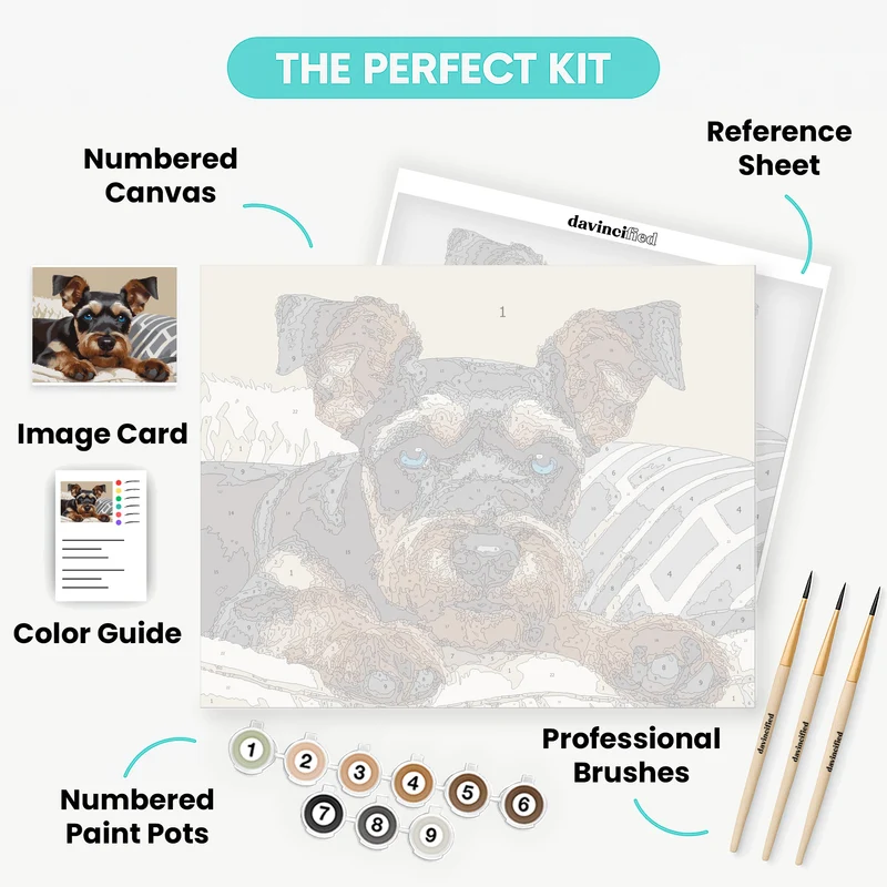 Schnauzer with Blue Eyes - Paint by Numbers Kit