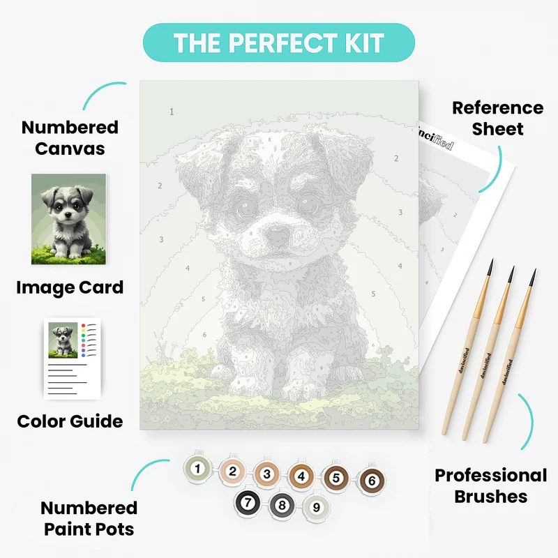 Adorable Schnauzer Puppy - Paint by Numbers Kit