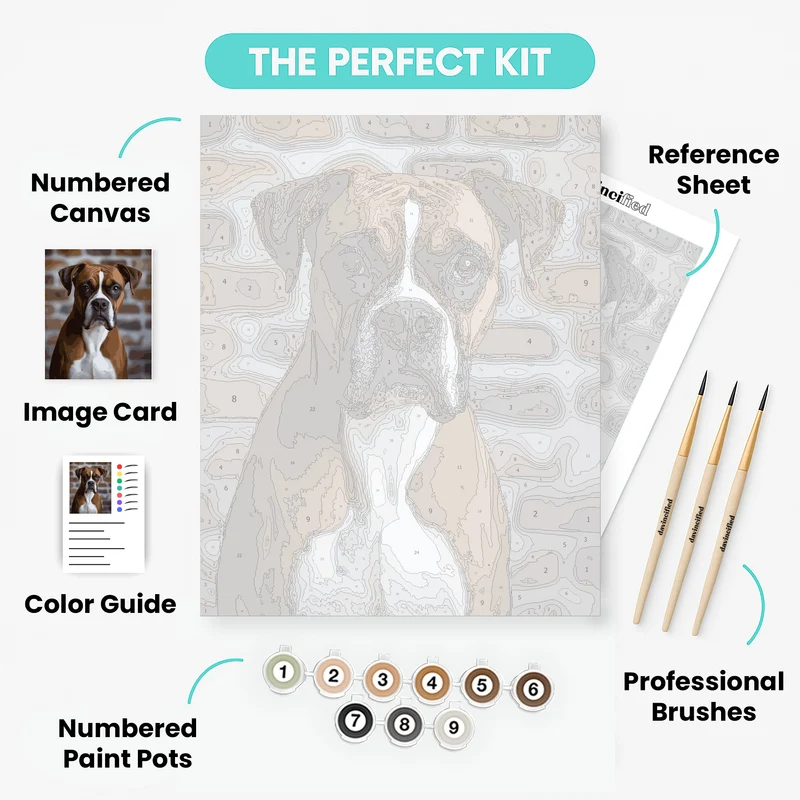Noble Boxer Dog Portrait - Paint by Numbers Kit