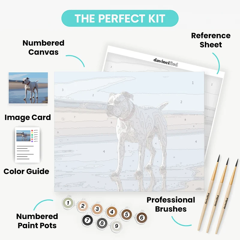 White Boxer Dog on Beach - Paint by Numbers Kit