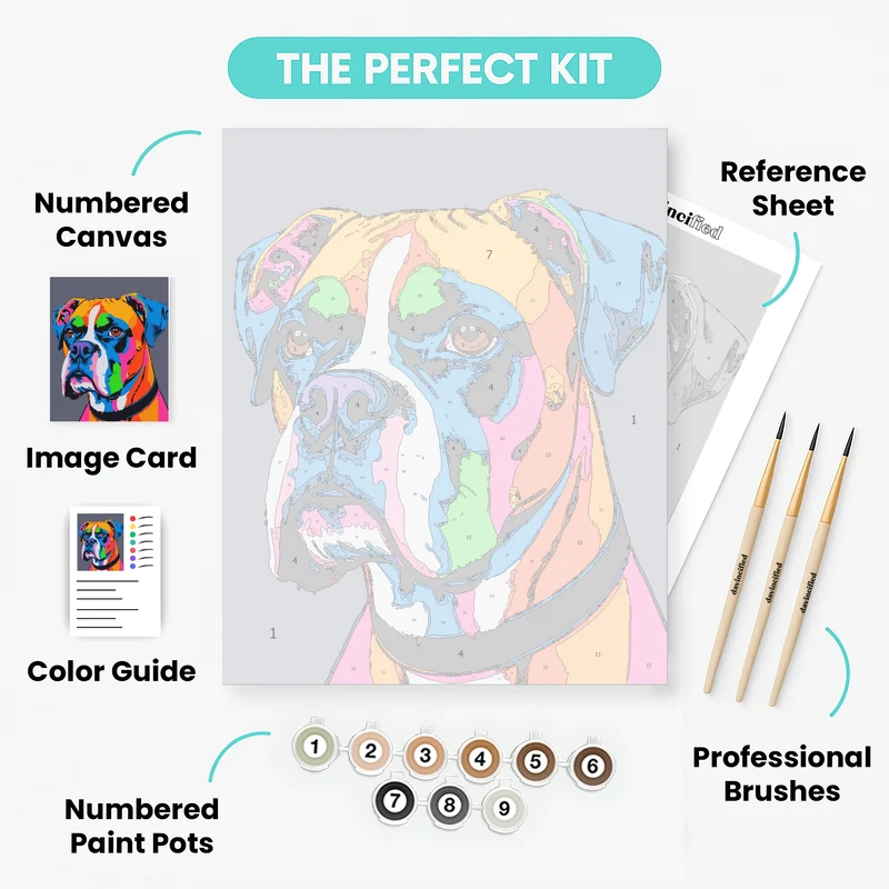 Colorful Boxer Dog Portrait - Paint by Numbers Kit