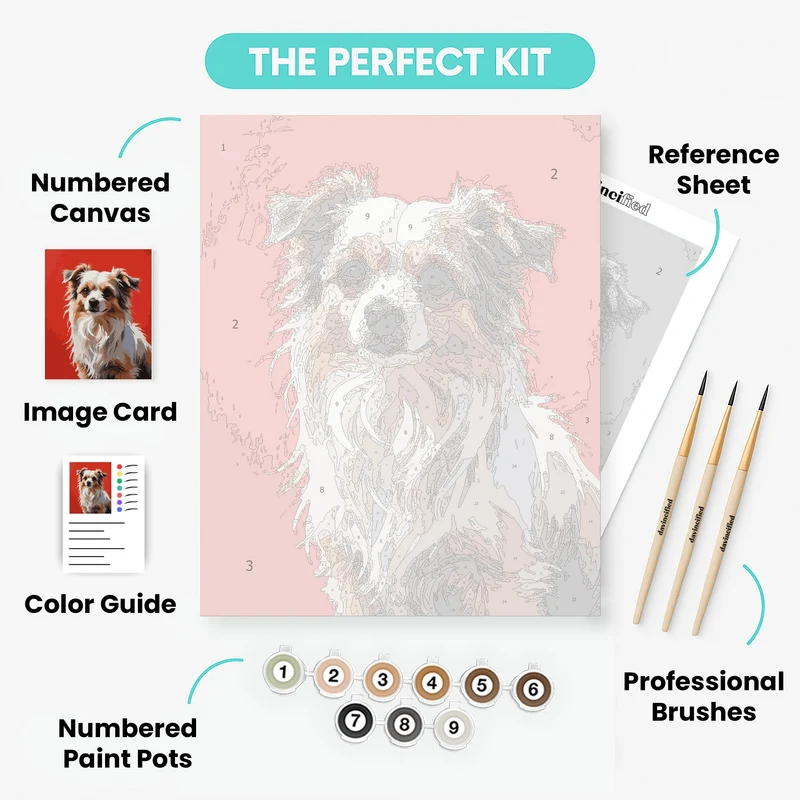 Australian Shepherd with Fluffy Fur - Paint by Numbers Kit