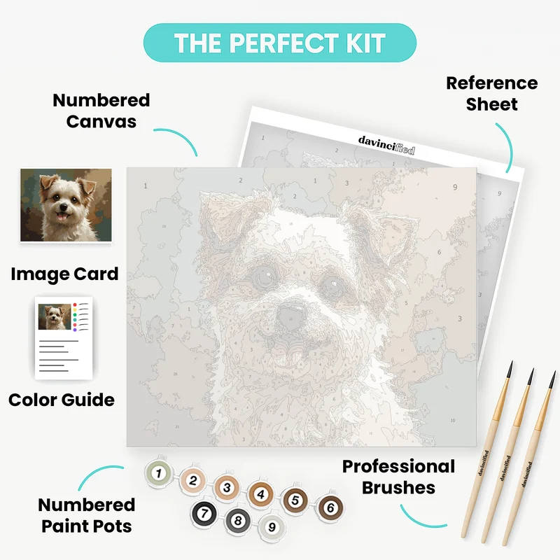 Fluffy Brown and White Dog - Paint by Numbers Kit