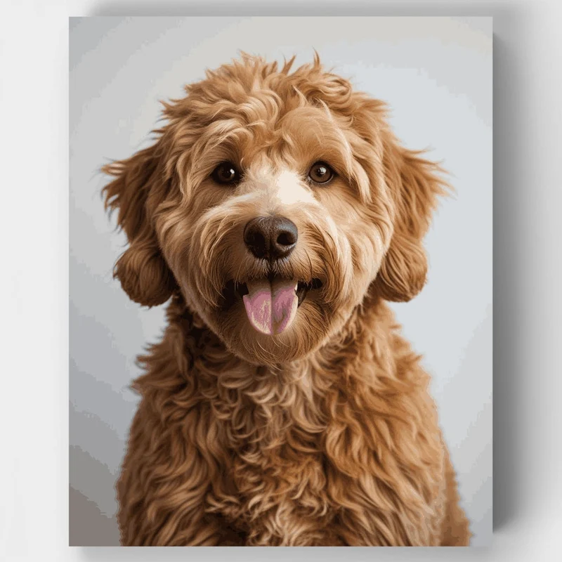 Curly-Coated Labradoodle with Happy Expression - Paint by Numbers Kit