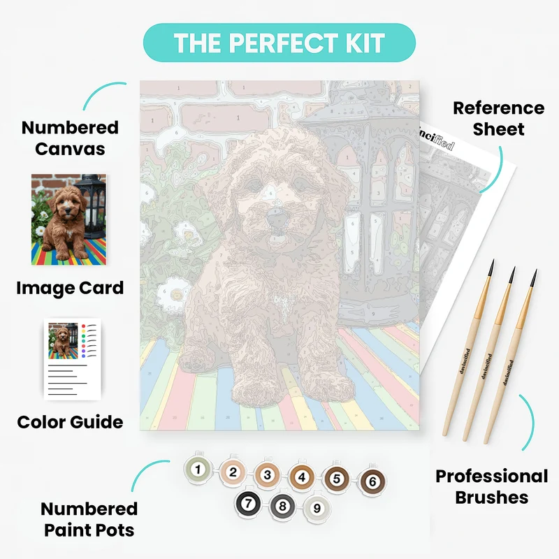 Fluffy Labradoodle Puppy with Lantern - Paint by Numbers Kit