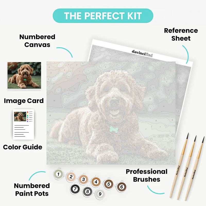 Happy Labradoodle - Paint by Numbers Kit