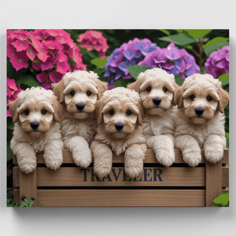 Labradoodle Puppies in Flower Garden - Paint by Numbers Kit
