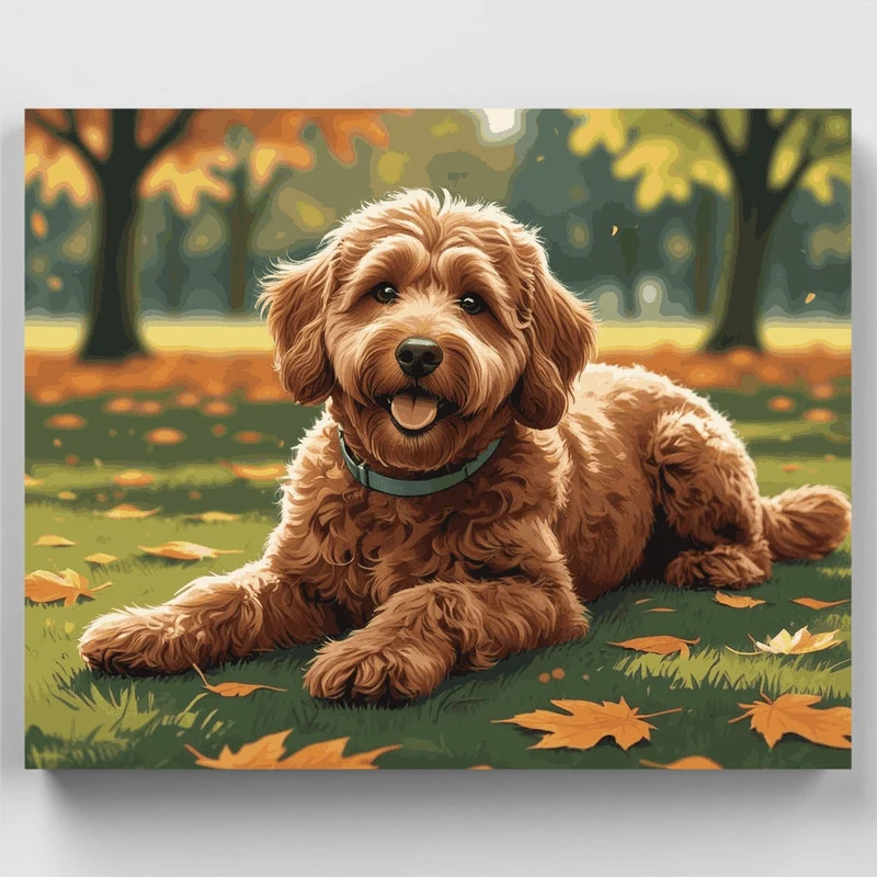 Labradoodle in Autumn Park - Paint by Numbers Kit
