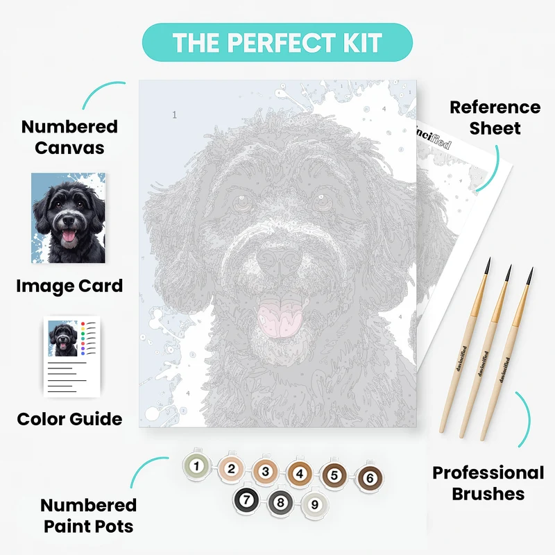 Black Labradoodle Portrait - Paint by Numbers Kit