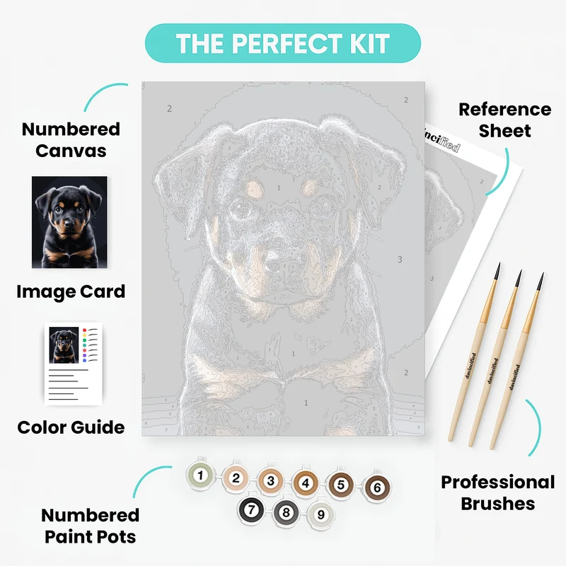 Adorable Rottweiler Puppy Portrait - Paint by Numbers Kit