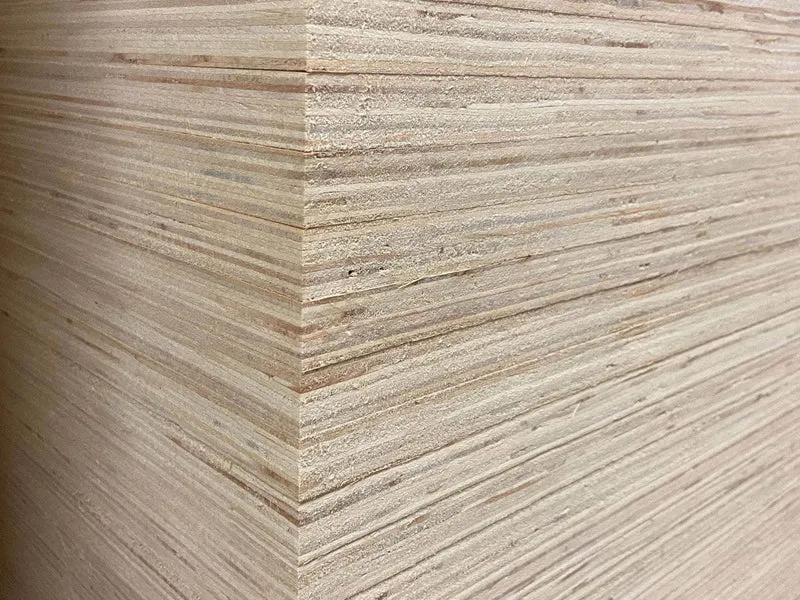 Contreplaqué 100% peuplier - 2440 x 1220 x 15 mm (direct usine)