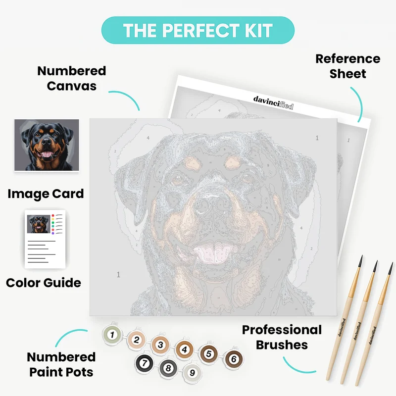 Rottweiler - Paint by Numbers Kit