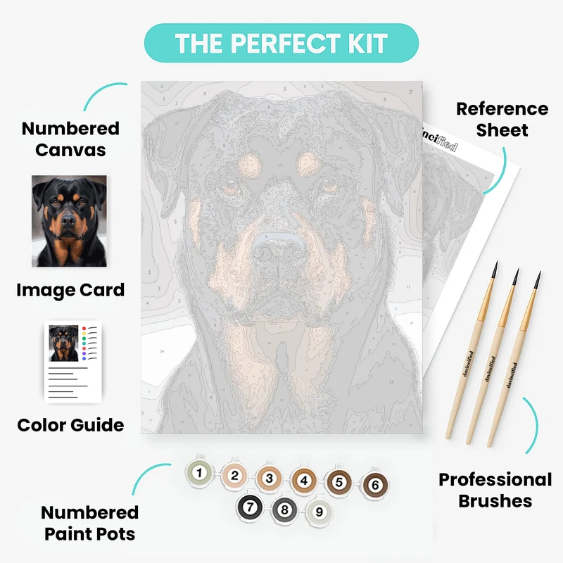 Majestic Rottweiler Portrait - Paint by Numbers Kit