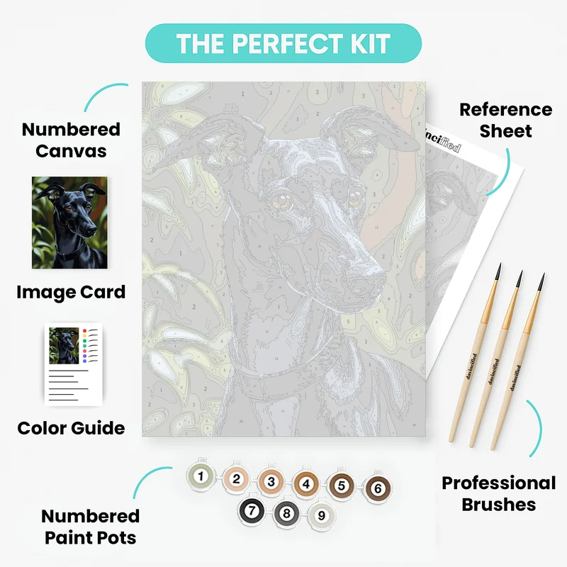 Black Greyhound Portrait - Paint by Numbers Kit