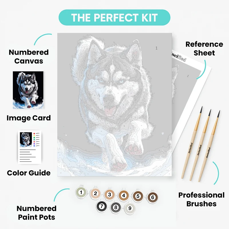 Energetic Husky Running Through Snow - Paint by Numbers Kit