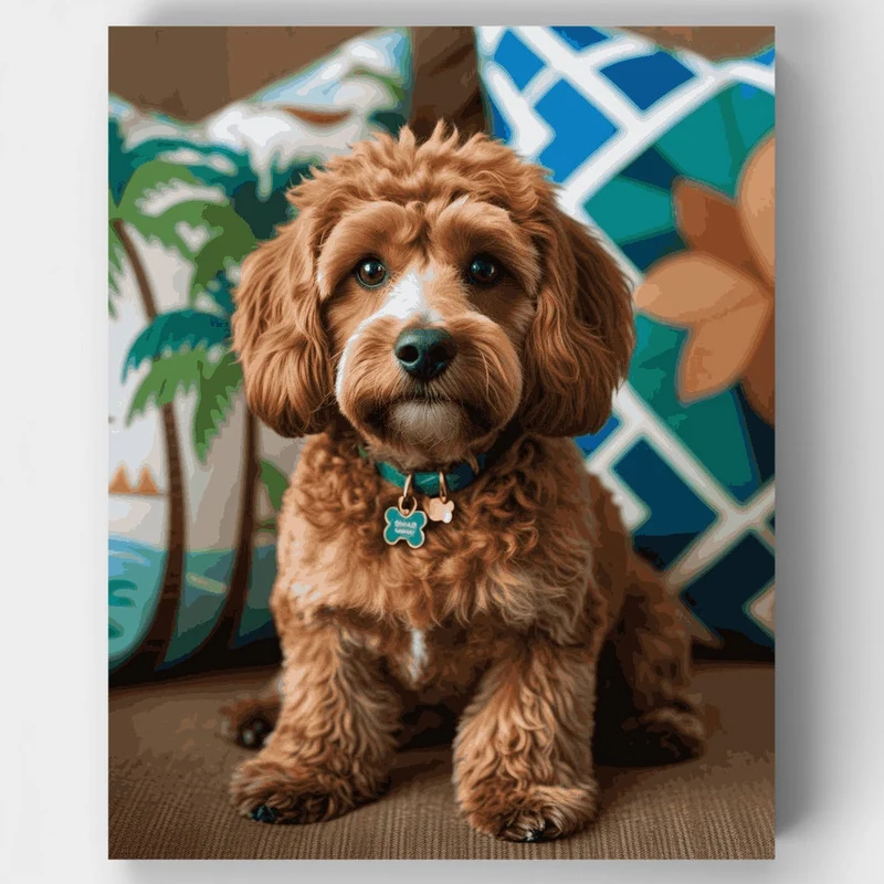 Cockapoo with Colorful Pillows - Paint by Numbers Kit