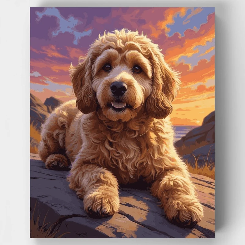 Golden Doodle at Sunset - Paint by Numbers Kit