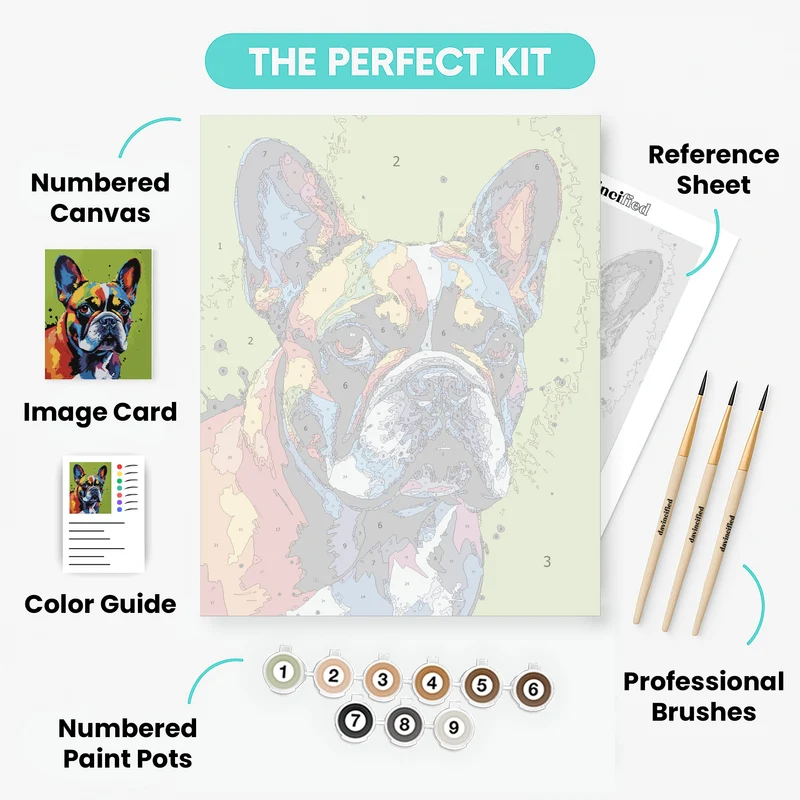 Colorful French Bulldog - Paint by Numbers Kit