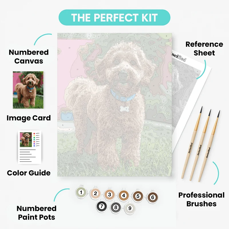 Goldendoodle with Blue Collar - Paint by Numbers Kit