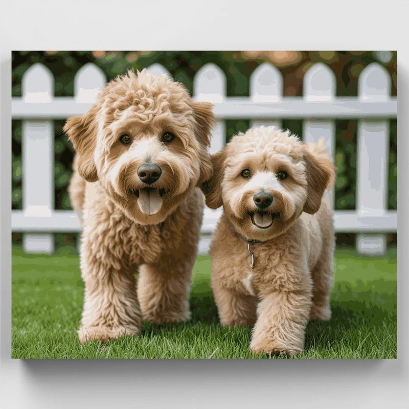 Two Adorable Goldendoodles - Paint by Numbers Kit