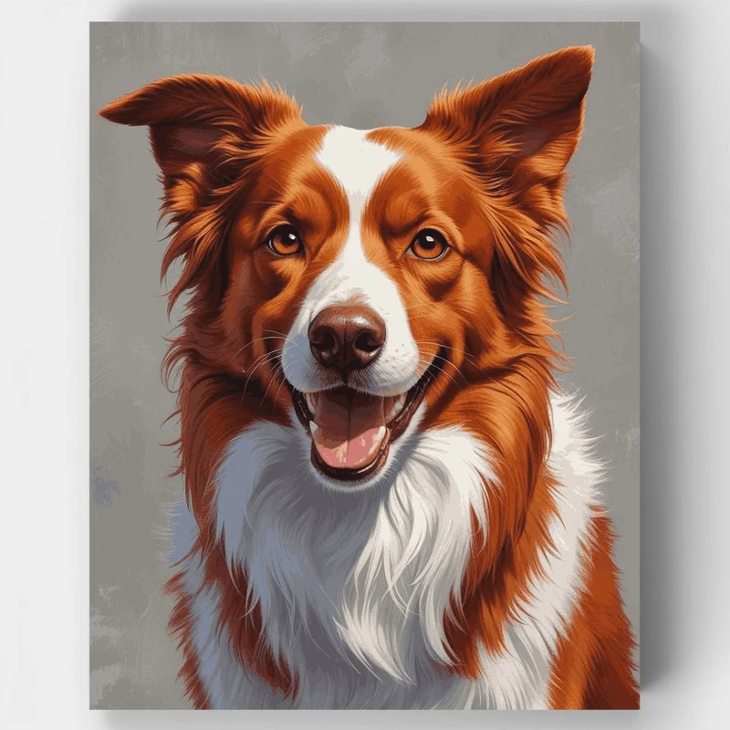 Red Border Collie Smile Portrait - Paint by Numbers Kit