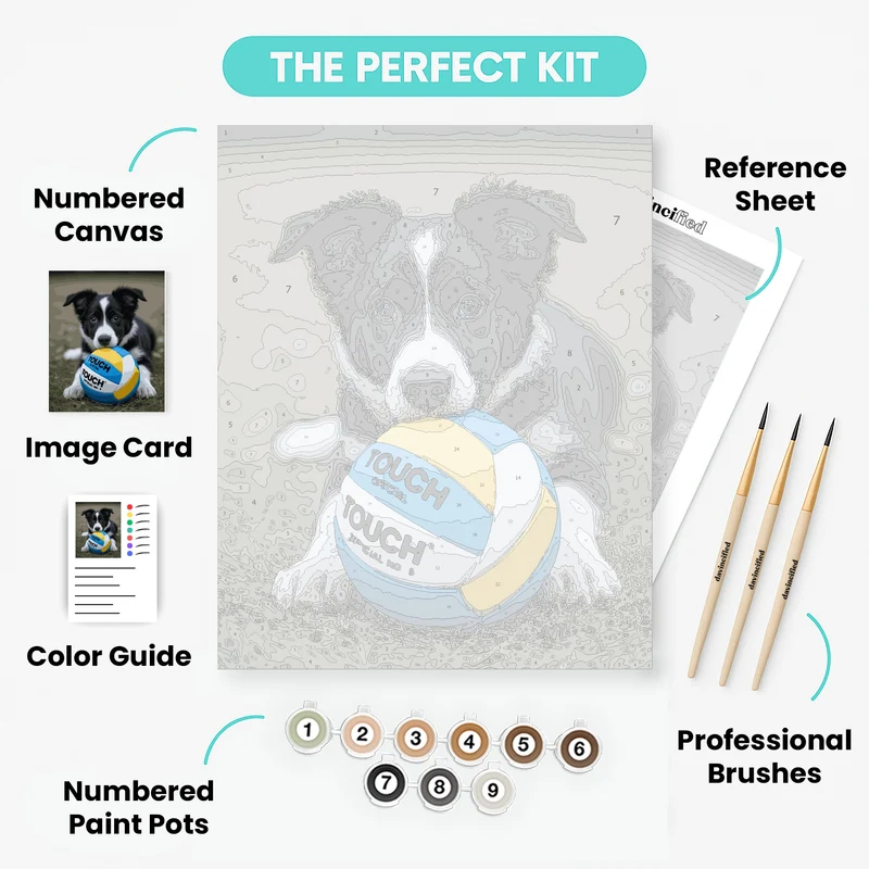 Border Collie Puppy with Volleyball - Paint by Numbers Kit