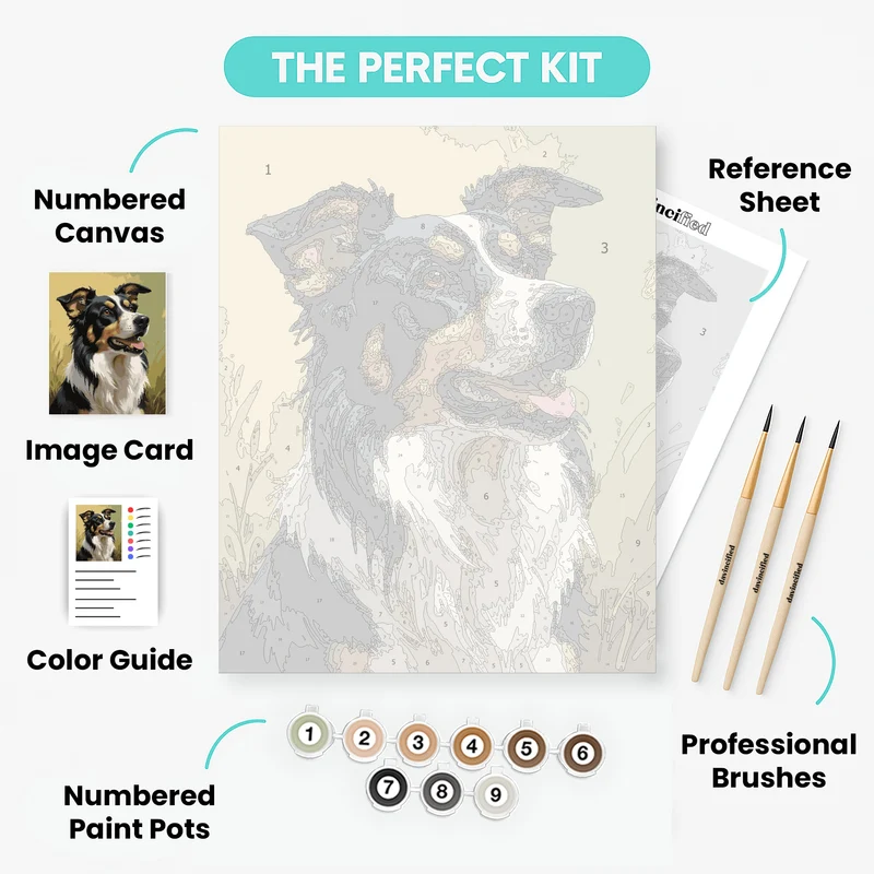 Joyful Border Collie in Golden Field - Paint by Numbers Kit