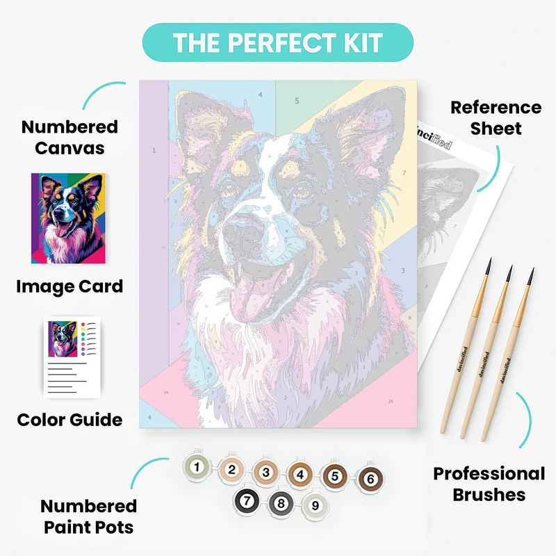 Vibrant Border Collie Portrait - Paint by Numbers Kit