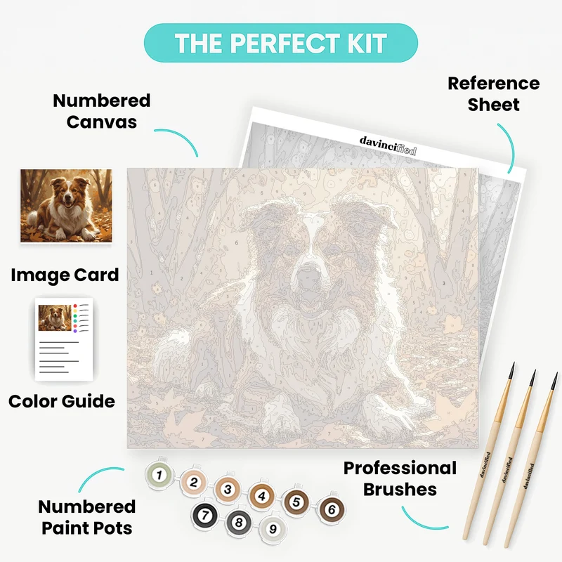 Border Collie in Autumn Forest - Paint by Numbers Kit