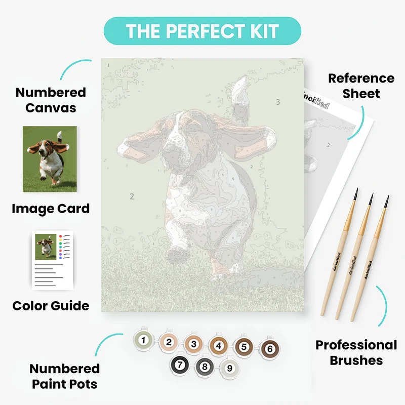 Basset Hound Running with Floppy Ears - Paint by Numbers Kit