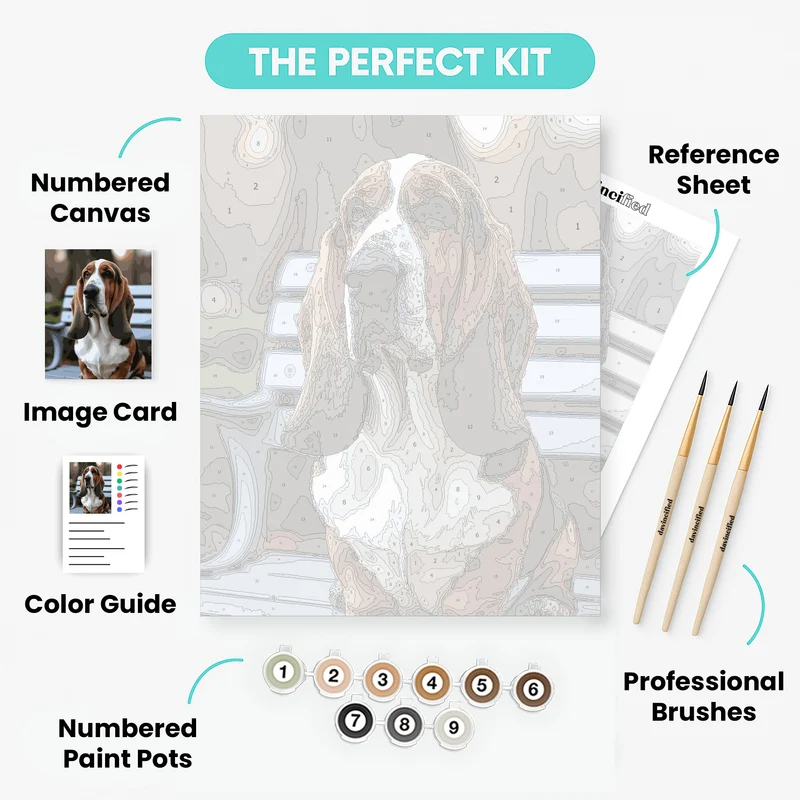 Basset Hound with Soulful Eyes - Paint by Numbers Kit
