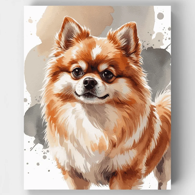 Fluffy Pomeranian - Paint by Numbers Kit