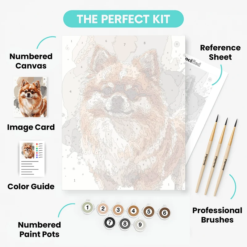 Fluffy Pomeranian - Paint by Numbers Kit