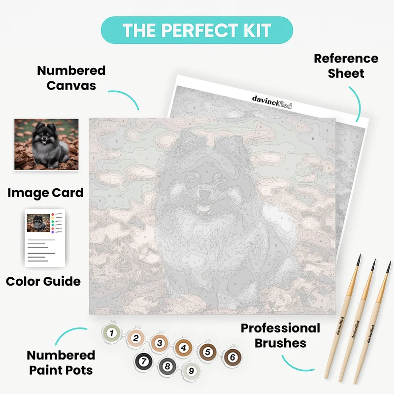 Fluffy Black Pomeranian in Autumn Leaves - Paint by Numbers Kit