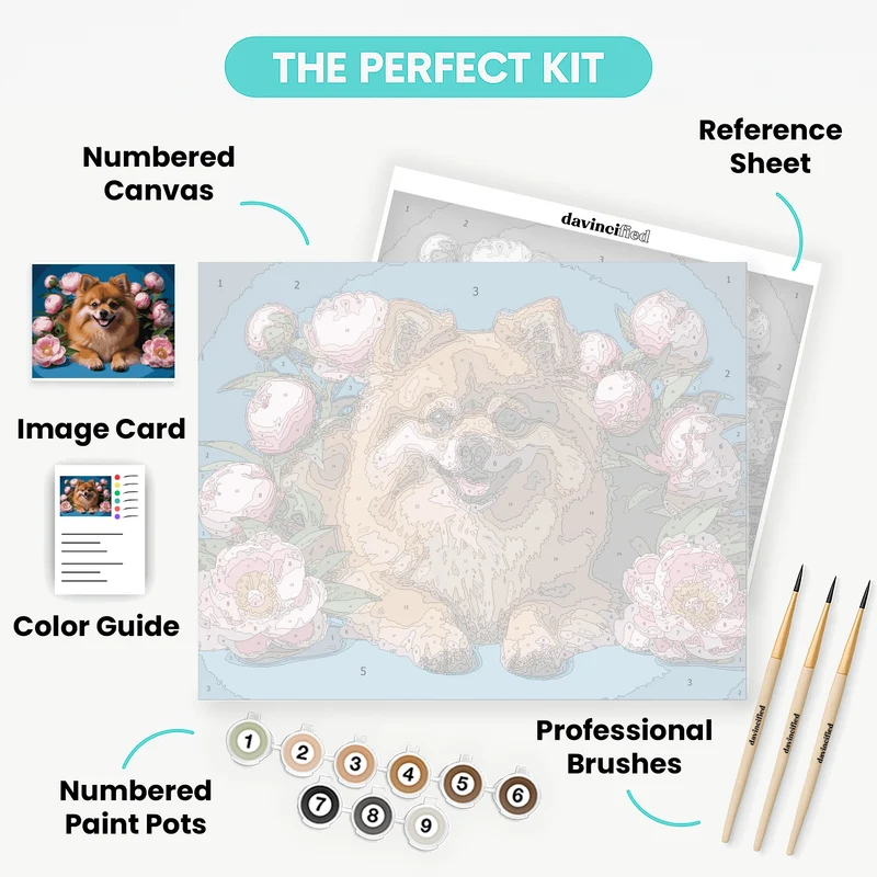 Pomeranian with Pink Peonies - Paint by Numbers Kit