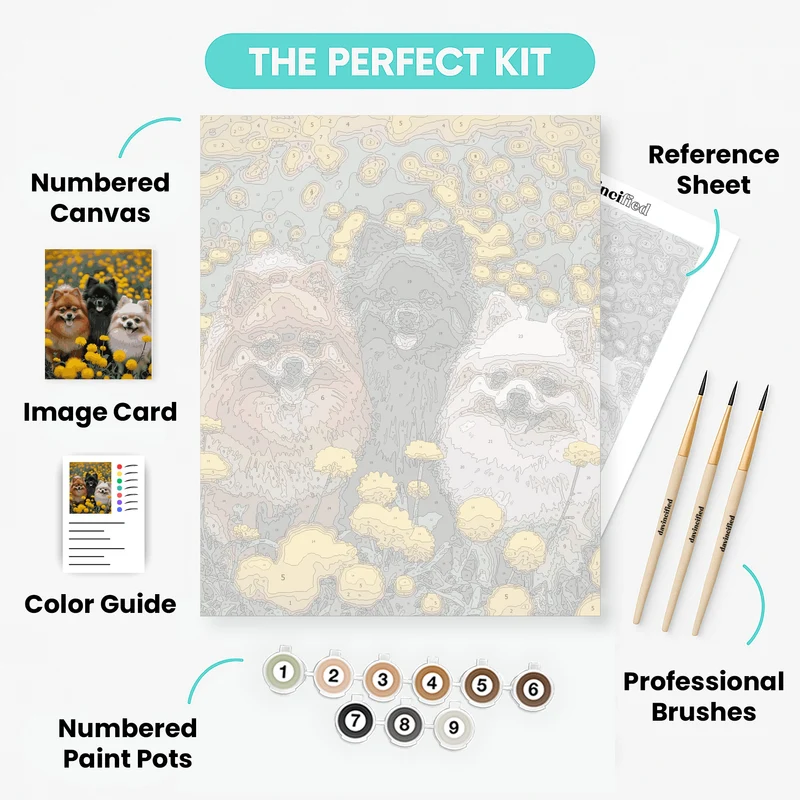Three Pomeranians in Yellow Flower Field - Paint by Numbers Kit