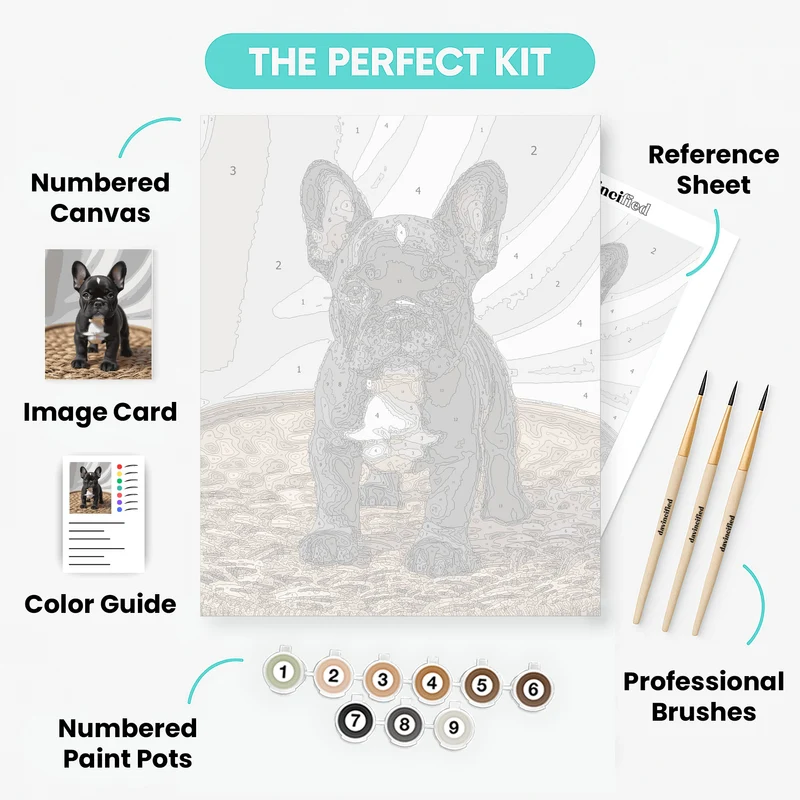 French Bulldog Puppy - Paint by Numbers Kit