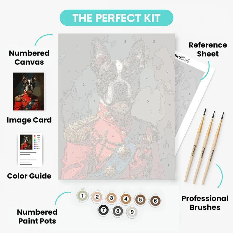 Boston Terrier General - Paint by Numbers Kit